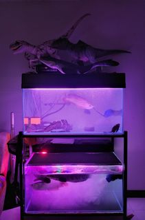 (Category: ) located in . Submitted by didipredator (Listing ID 1309733005, Image 1). Description: .