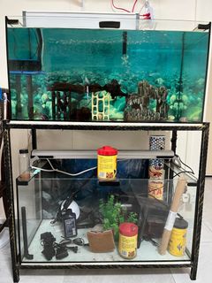 (Category: ) located in . Submitted by ecurtin (Listing ID 1309794429, Image 1). Description: .