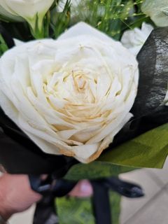 （分類：）位於 。 由 giannigianna 提交（商品編號 1309887391，圖片 1）。簡介： 。