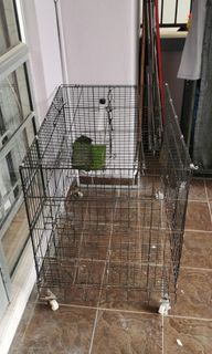 (Category: ) located in . Submitted by catchy4318 (Listing ID 1309864526, Image 1). Description: .