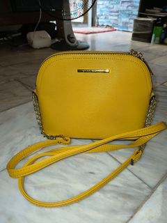 Steve Madden Bag