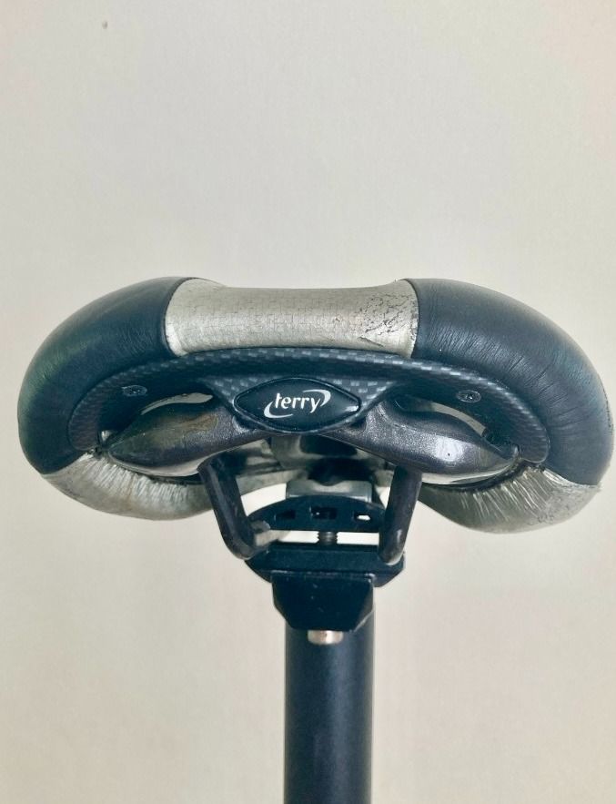 Terry butterfly carbon saddle best sale