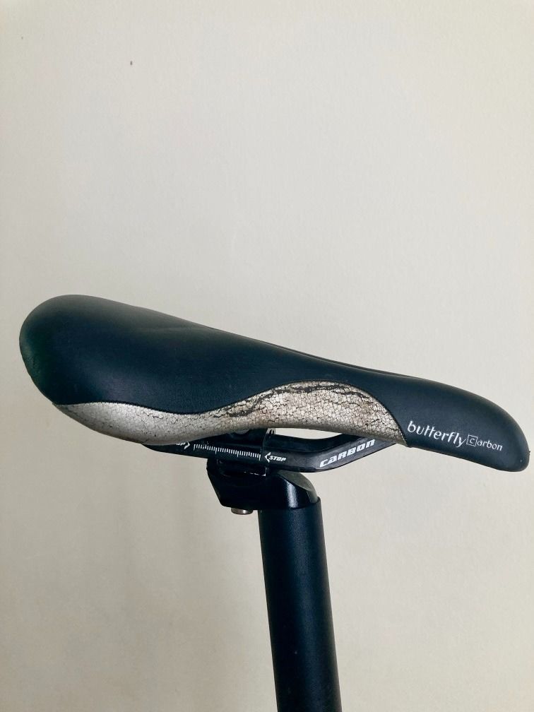 Terry Butterfly Carbon Saddle and 31.6 mm seat post Sports Equipment Bicycles Parts Parts Accessories on Carousell