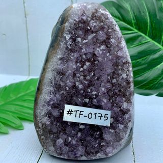 （分類：）位於 。 由 Kiracle 提交（商品編號 1309802473，圖片 1）。簡介： 。
