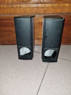 Bose C20 Speaker Box