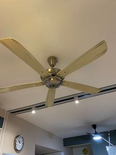 (Category: ) located in . Submitted by manairedzuan (Listing ID 1309983068, Image 1). Description: .