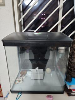 (Category: ) located in . Submitted by yy6556 (Listing ID 1310012758, Image 1). Description: .