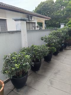 (Category: ) located in . Submitted by alvinyup (Listing ID 1309993867, Image 1). Description: .