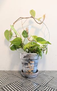 （分類：）位於 。 由 PHLPHL 提交（商品編號 1309961894，圖片 1）。簡介： 。