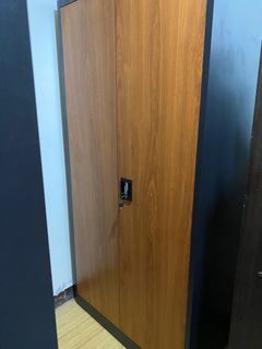 Steel cabinet  wardrobe (wood design)