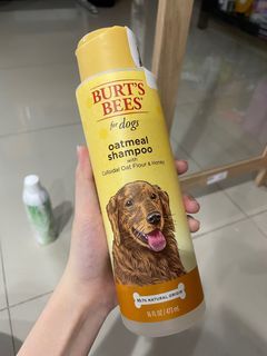 Burt's Bees Natural Oatmeal Shampoo for Dogs, Made with Colloidal Oat Flour and Honey, 16 Oz / 473ml