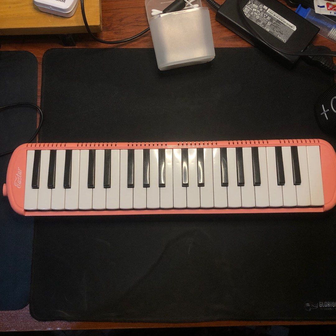 Eastar Melodica Hobbies Toys Music Media Musical Instruments on Carousell