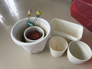 (Category: ) located in . Submitted by mumsluvia (Listing ID 1310161078, Image 1). Description: .