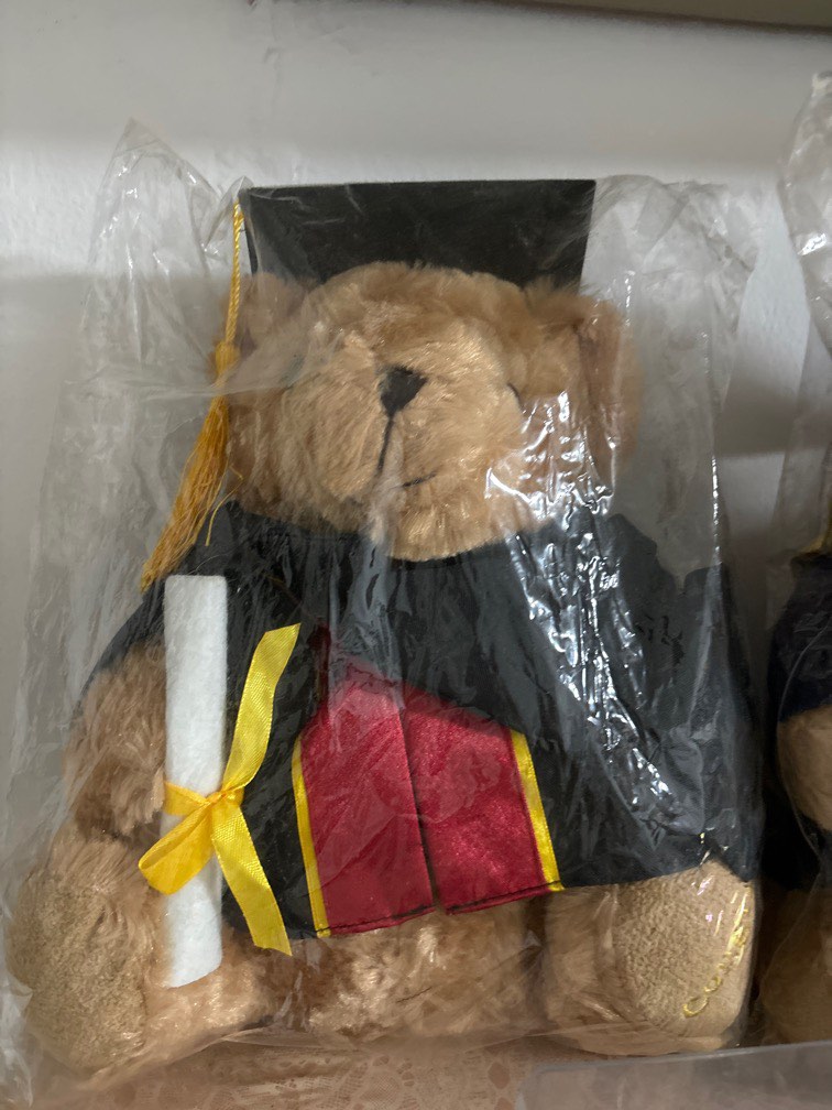Temasek Poly Graduation Bear, Hobbies & Toys, Toys & Games on Carousell