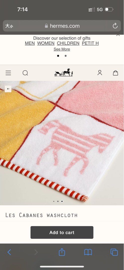 Hermes bb毛巾送禮之選, 名牌, 飾物及配件- Carousell