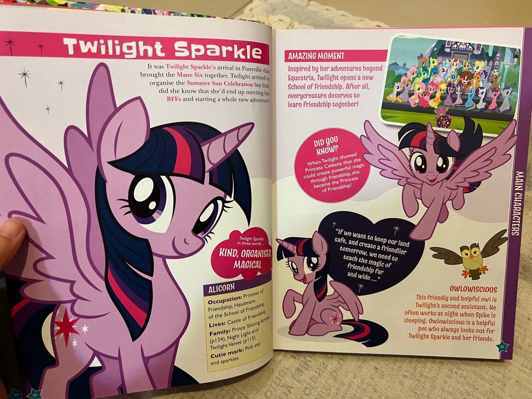 My Little Pony Character Guide Book
