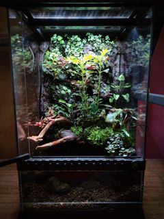 (Category: ) located in . Submitted by Fortune_Green_Design (Listing ID 1310152332, Image 1). Description: .