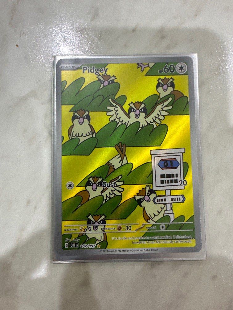 207/197 pokemon card Pidgey Magnetic Case You may play only 1 Supporter card during your turn Pokemon Trading Card Game Sword