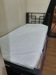 Single Bed + 6in Matress + Waterproof Cover