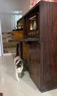 (Kategori: ) berada di . Dikirim oleh ginan_goods (ID iklan 1214047491, Gambar 1). Deskripsi: .