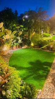 (Category: ) located in . Submitted by TIGER_LANDSCAPE (Listing ID 1310395116, Image 1). Description: .