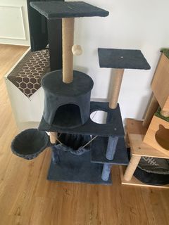 (Category: ) located in . Submitted by lefunna (Listing ID 1310275586, Image 1). Description: .