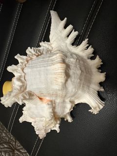 （分類：）位於 。 由 bestosale 提交（商品編號 1310411579，圖片 1）。簡介： 。