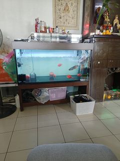 (Category: ) located in . Submitted by sunnyson123 (Listing ID 1310424735, Image 1). Description: .