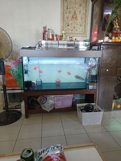 (Category: ) located in . Submitted by sunnyson123 (Listing ID 1310305657, Image 1). Description: .