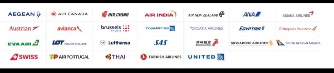 Economy Class Air New Zealand Excess Baggage 200+ Positive Reviews