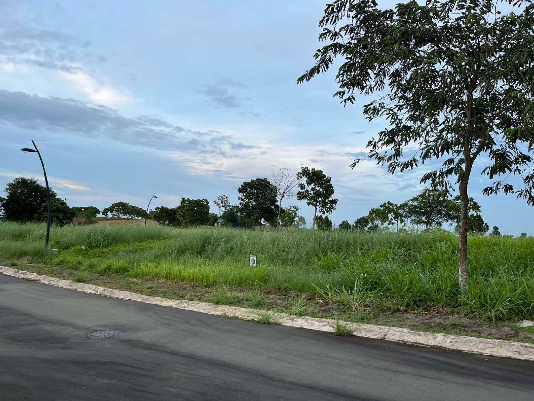 (Category: ) located in . Submitted by sothebys.ph.jameson (Listing ID 1310490229, Image 1). Description: .