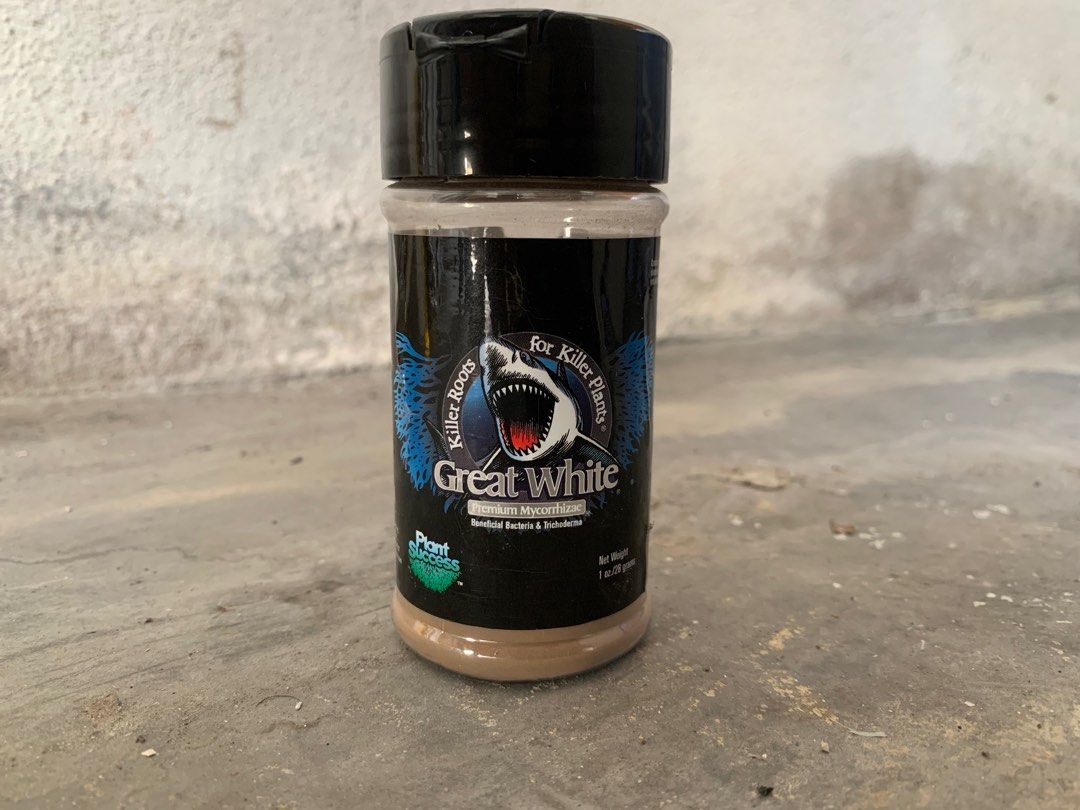 Great white Mycorrhizae, Furniture & Home Living, Gardening, Garden