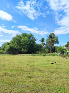 (Category: ) located in . Submitted by faizcendol (Listing ID 1310523227, Image 1). Description: .