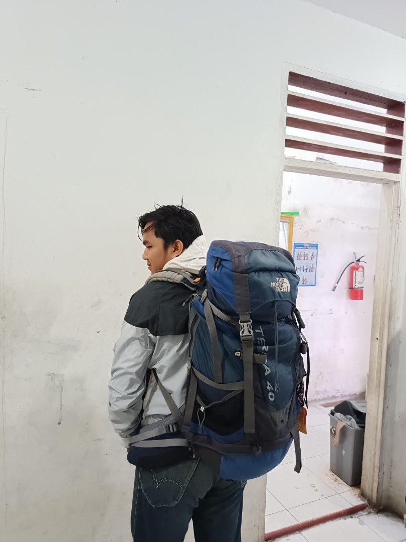 Carrier the north face top