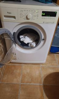 （分類：）位於 。 由 jpeii 提交（商品編號 1310580580，圖片 1）。簡介： 。
