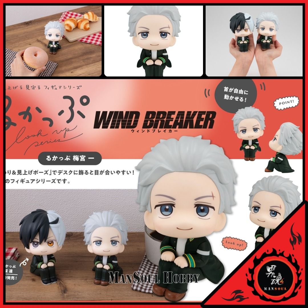 日版更保值] 櫻遙/ 梅宮一防風少年Q版公仔2選1款Megahouse Look