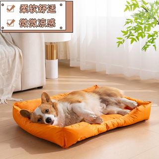 （分類：）位於 。 由 kiki_hoheyho 提交（商品編號 1310752777，圖片 1）。簡介： 。