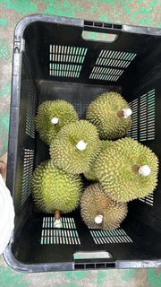 （分類：）位於 。 由 xavierwa 提交（商品編號 1310723130，圖片 1）。簡介： 。