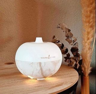 Aroma Globe Wireless Diffuser Young Living