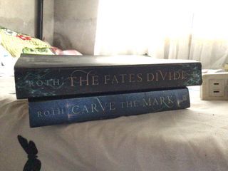 Carve the mark and the fate divide