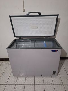 CLEARANCE SALE (USED) Fujidenzo 9 cu. ft. Chest Freezer Non-Inverter FCG90PDF Silver