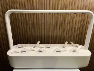 （分類：）位於 。 由 georgenjane 提交（商品編號 1310752611，圖片 1）。簡介： 。