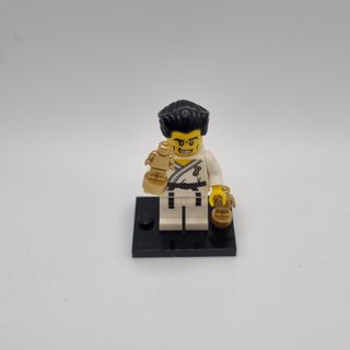 Lego minifigure karate For Sale Toys Games Carousell Singapore