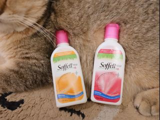 （分類：）位於 。 由 meow0629 提交（商品編號 1310807220，圖片 1）。簡介： 。