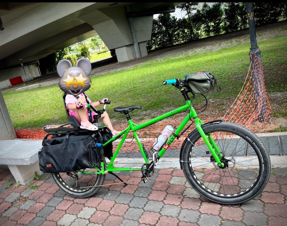Surly Big Dummy cargo bike Sports Equipment Bicycles Parts Bicycles on Carousell