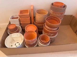(Category: ) located in . Submitted by pocketfarmsg (Listing ID 1310731309, Image 1). Description: .
