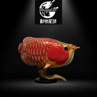 抵買