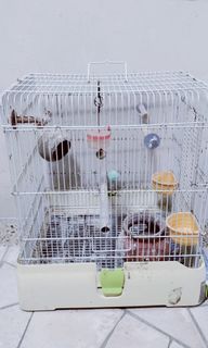 (Category: ) located in . Submitted by faizal.mr (Listing ID 1310920221, Image 1). Description: .