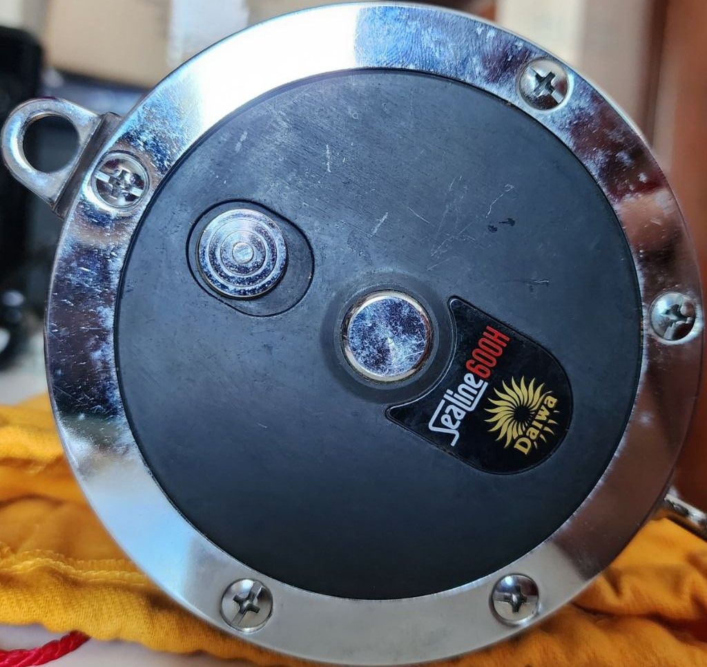 Daiwa Sealine 600H Deep Sea Reel, Sports Equipment, Fishing on