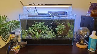 (Category: ) located in . Submitted by sgoli994 (Listing ID 1310946943, Image 1). Description: .
